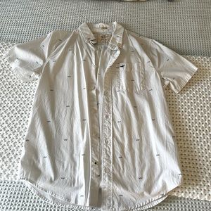 Hollister Wave Button Down Shirt